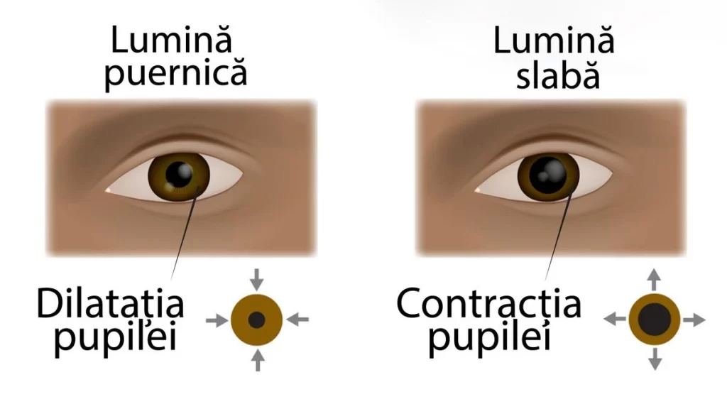 joc pupilar explicat la lumina ptenica comparativ cu lumina slaba